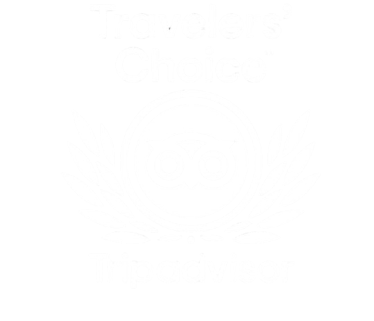 TripAdvisor 